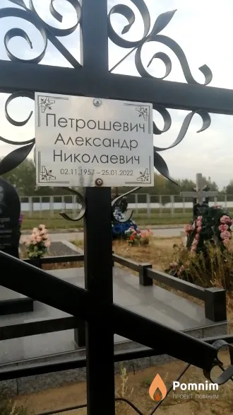Петрошевич Александр Николаевич