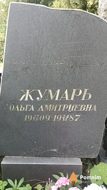 Жумарь Ольга Дмитриевна