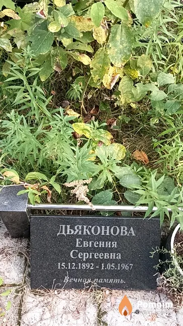 Дьяконова Евгения Сергеевна