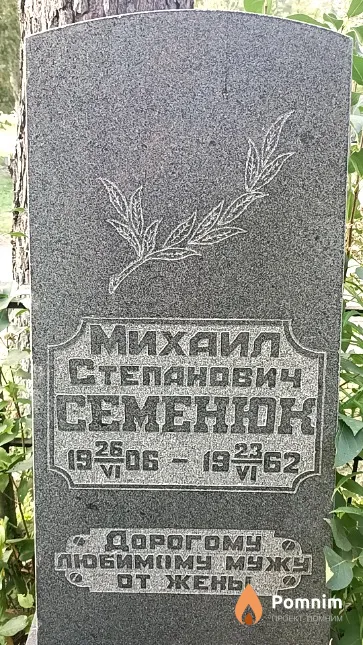 Семенюк Михаил Степанович