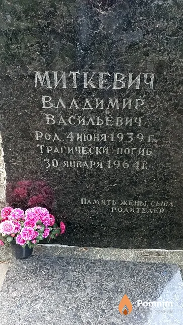Миткевич Владимир Васильевич