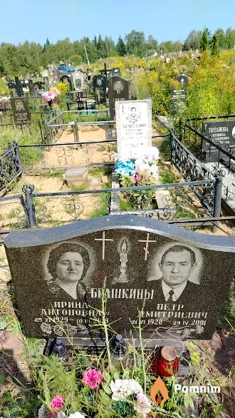 Брашкина Ирина Антоновна