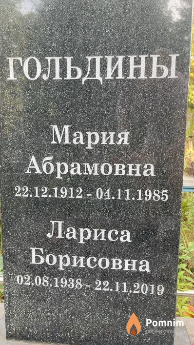 Гольдина Лариса Борисовна