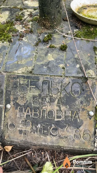 Белько Вера Павловна