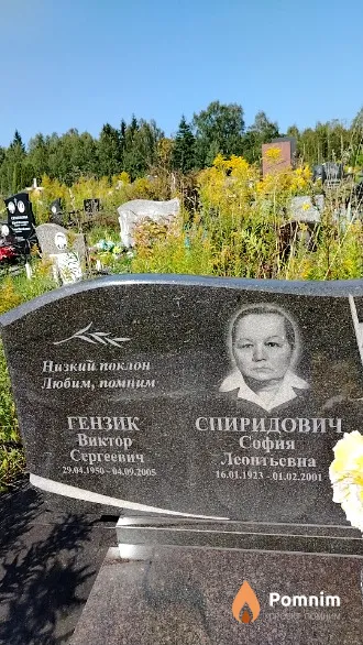 Гензик Виктор Сергеевич