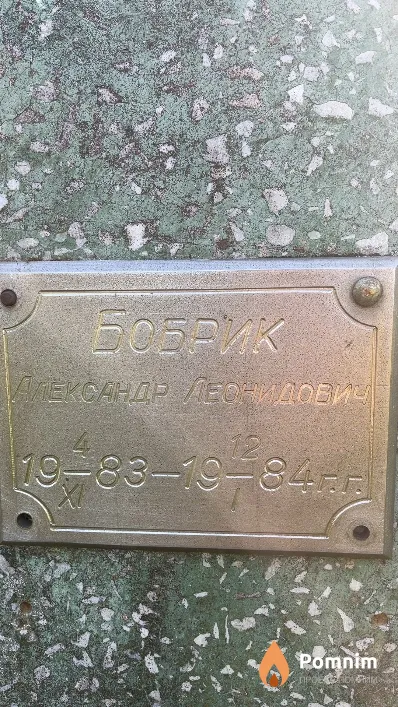 Бобрик Александр Леонидович