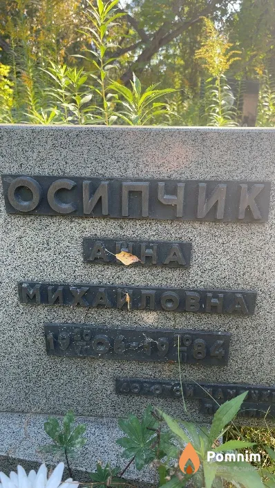 Осипчик Анна Михайловна