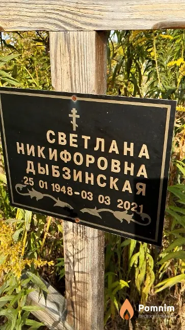 Дыбзинская Светлана Никифоровна
