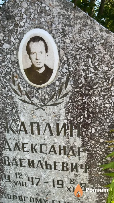Каплин Александр Васильевич