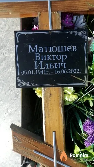 Матюшев Виктор Ильич