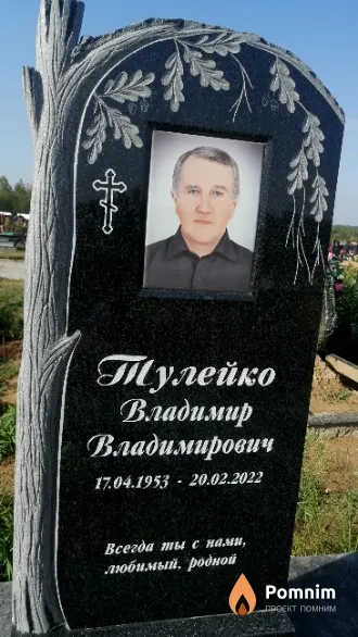 Тулейко Владимир Владимирович