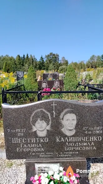 Шеститко Галина Егоровна