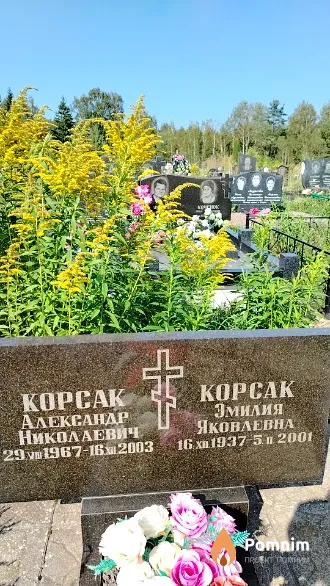 Корсак Александр Николаевич