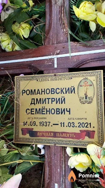 Романовский Дмитрий Иосифович