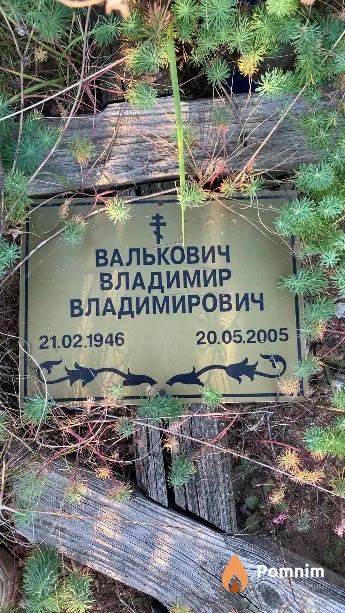 Валькович Владимир Владимирович