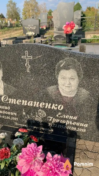 Степаненко Елена Григорьевна