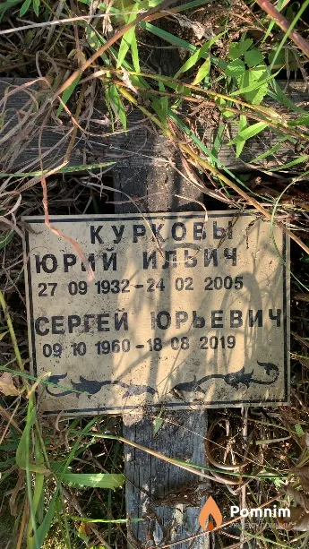 Курков Юрий Ильич