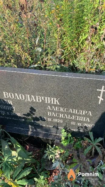 Володавчик Александра Васильевна