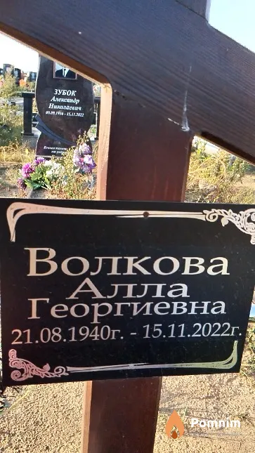 Волкова Алла Георгиевна