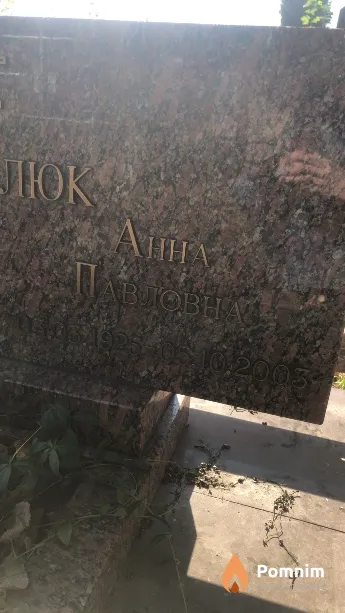 Камлюк Анна Павловна