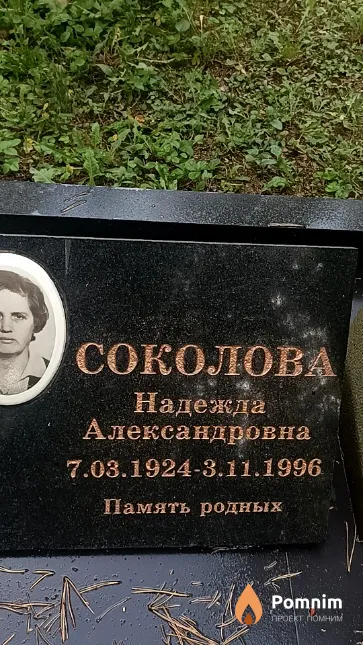 Соколова Надежда Александровна