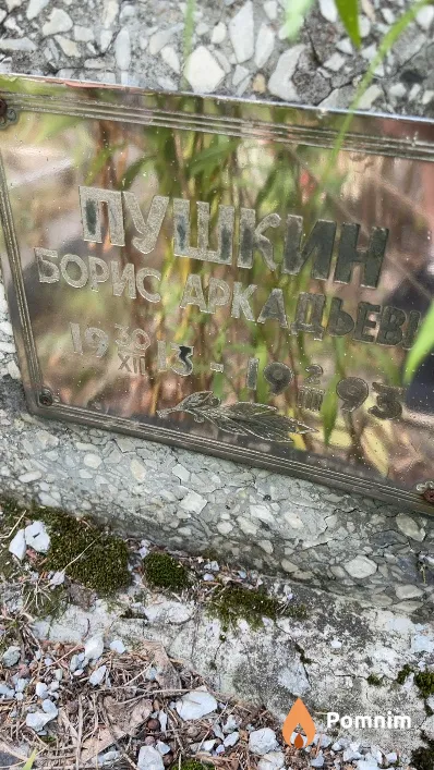 Пушкин Борис Аркадьевич