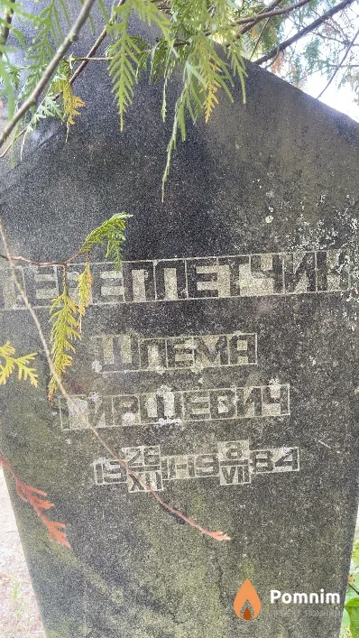 Переплетчик Шпема Гиршевич