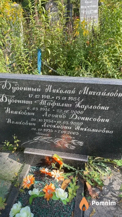 Буденный Николай Михайлович