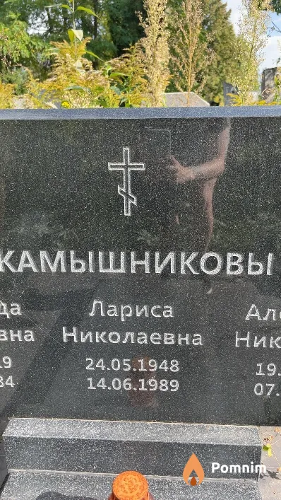 Камышникова Лариса Николаевна