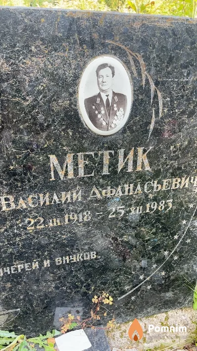 Метик Василий Афанасьевич