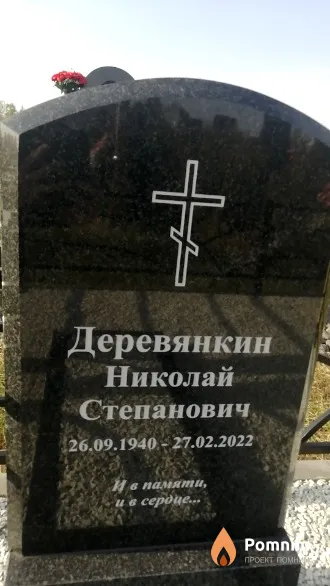 Деревянкин Николай Степанович