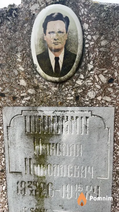 Шишкин Николай Николаевич