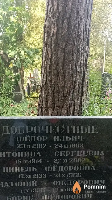 Доброчестный Анатолий Фёдорович