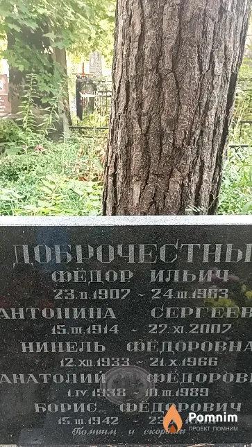Доброчестный Борис Фёдорович