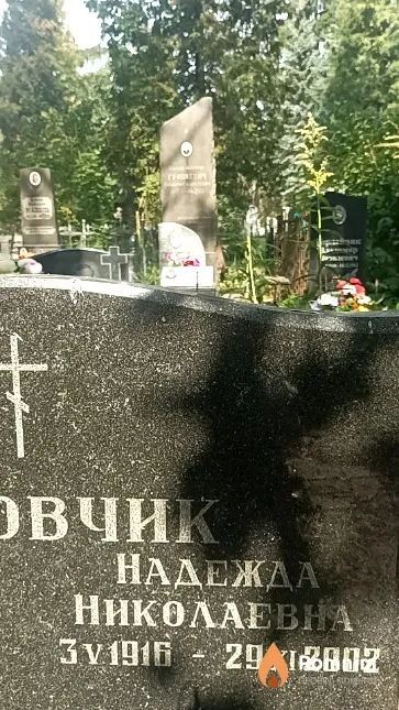 Зиновчик Надежда Николаевна