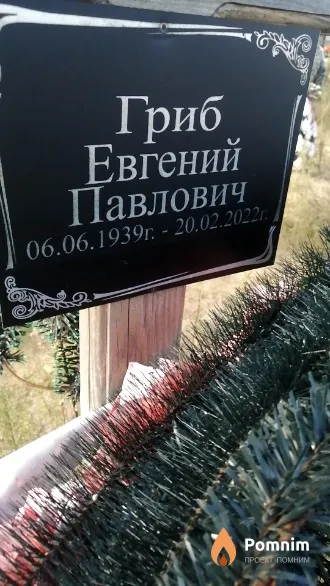 Гриб Евгений Павлович