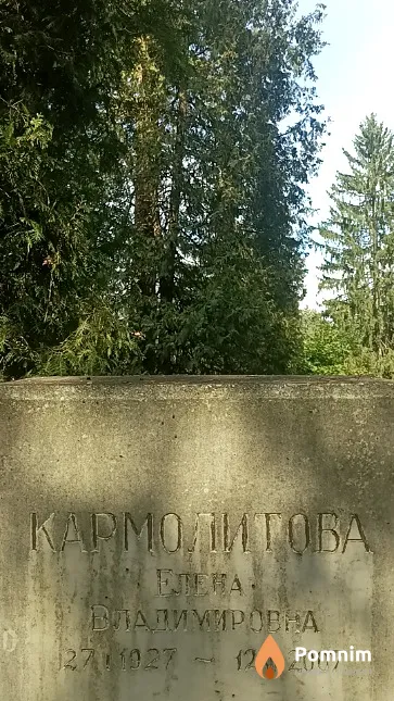 Кармолитова Елена Владимировна