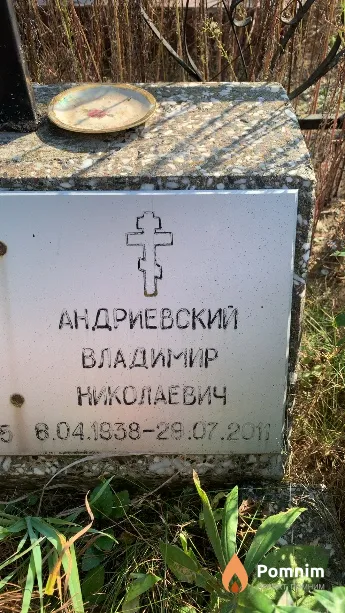 Андриевский Владимир Николаевич