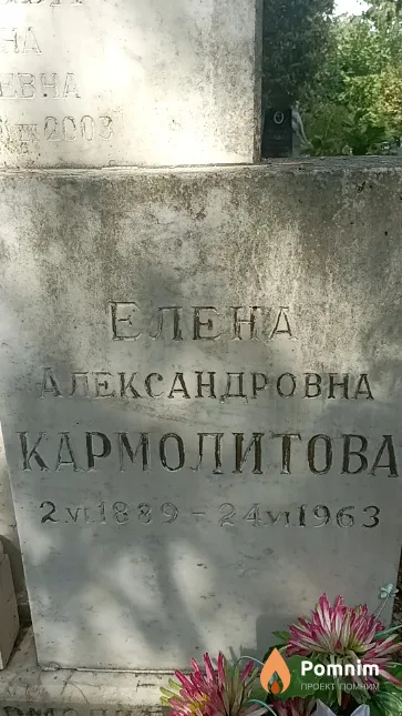 Кармолитова Елена Александровна
