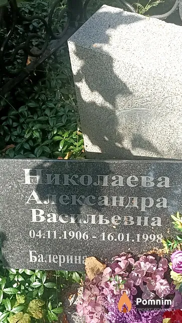 Николаева Александра Васильевна