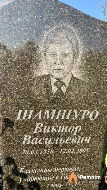 Шамшуро Виктор Васильевич