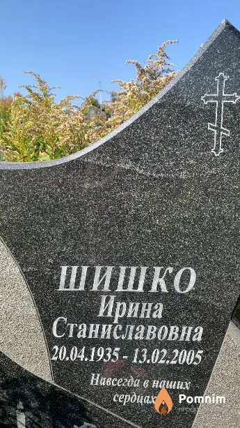Шишко Ирина Станиславовна