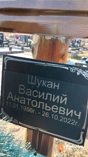 Шукан Василий Анатольевич
