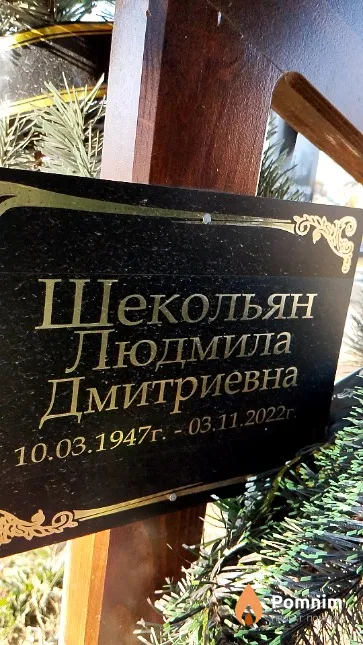 Шекольян Людмила Дмитриевна