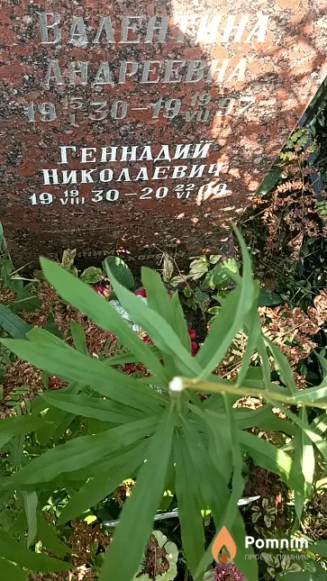 Дремлюг Геннадий Николаевич