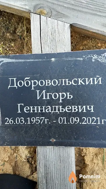 Добровольский Игорь Геннадьевич