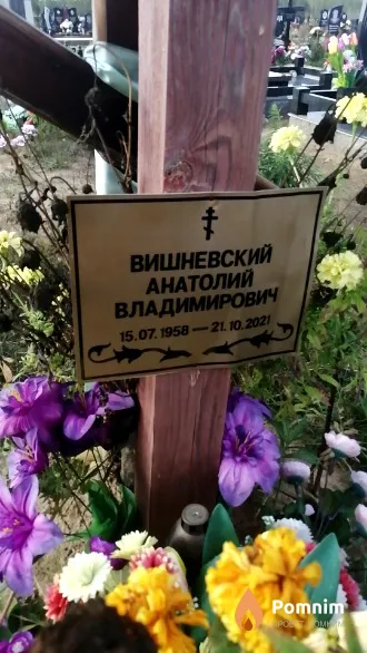 Вишневский Анатолий Владимирович