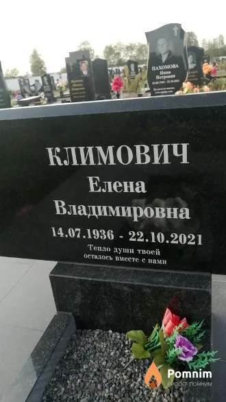 Климович Елена Владимировна