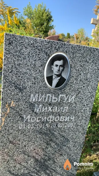 Мильгуй Михаил Иосифович