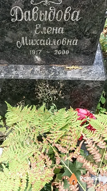 Давыдова Елена Михайловна